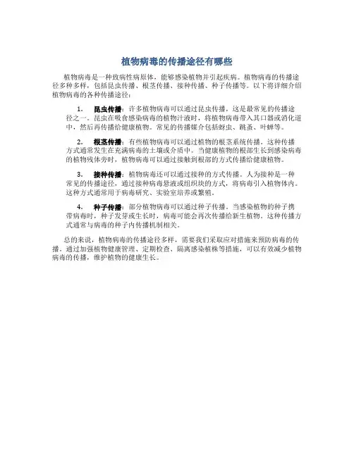 植物病毒的传播途径有哪些