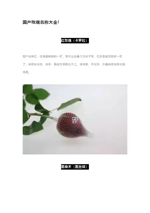 国产玫瑰名称大全