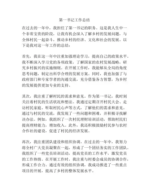第一书记工作总结