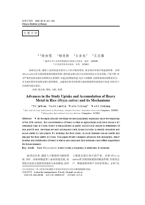 水稻对重金属元素的吸收与分配机理的研究进展