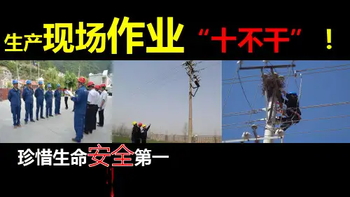 电力系统“十不干”