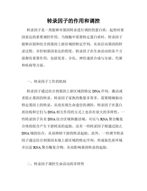 转录因子的作用和调控