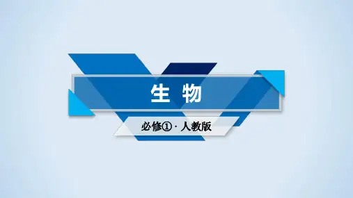 人教版高一生物必修一：第3章 第2节细胞器——系统内的分工合作