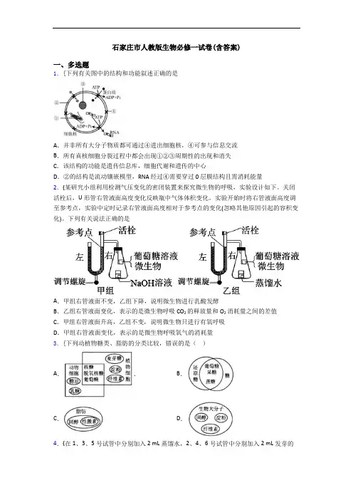 石家庄市人教版生物必修一试卷(含答案)