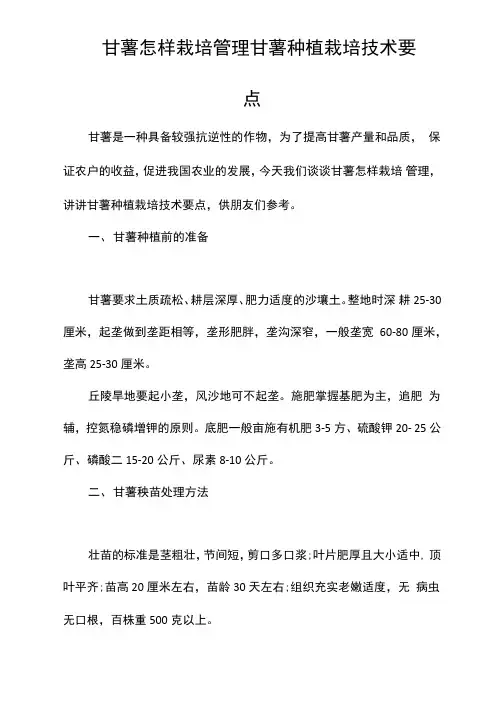 甘薯怎样栽培管理甘薯种植栽培技术要点