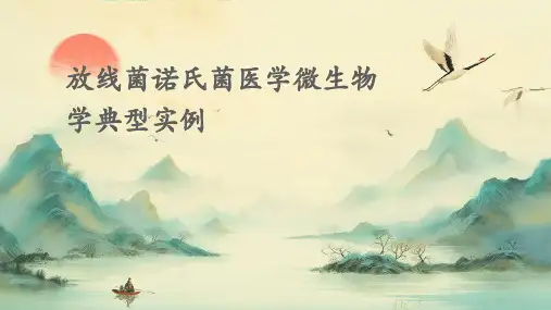 放线菌诺氏菌医学微生物学典型实例