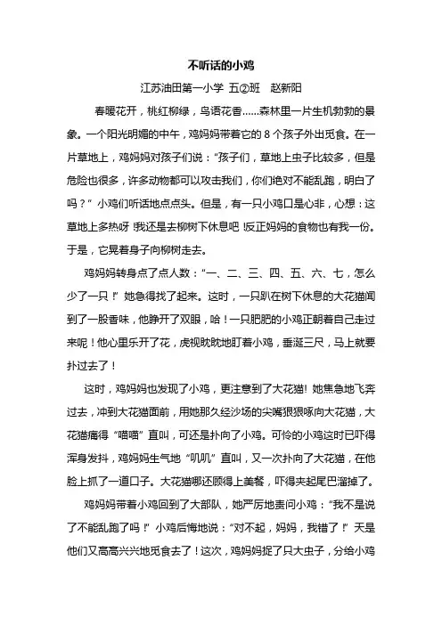 不听话的小鸡