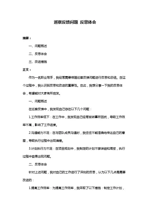 巡察反馈问题 反思体会