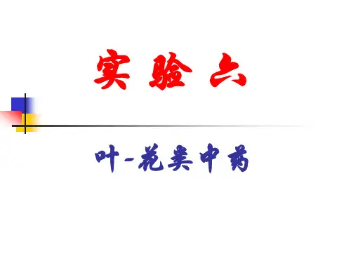 实验六  叶、花类中药