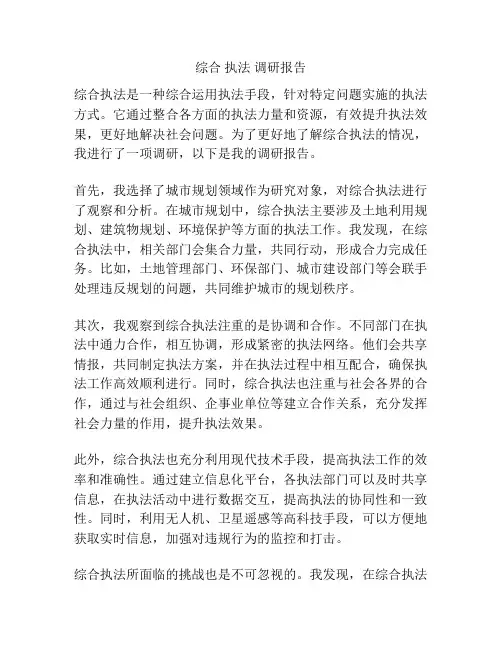 综合 执法 调研报告