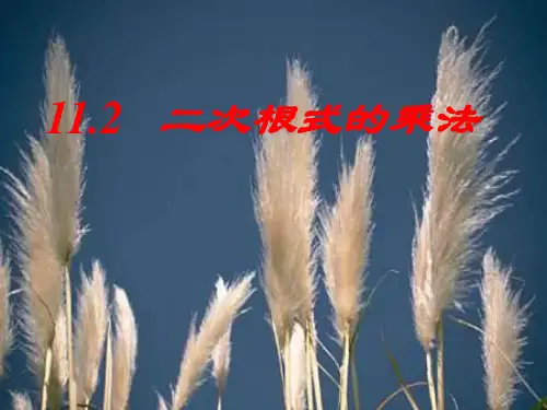 二次根式的乘法PPT优选课件