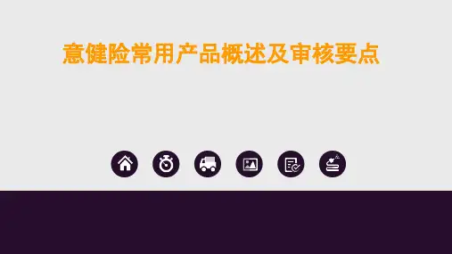 意健险概述及审核