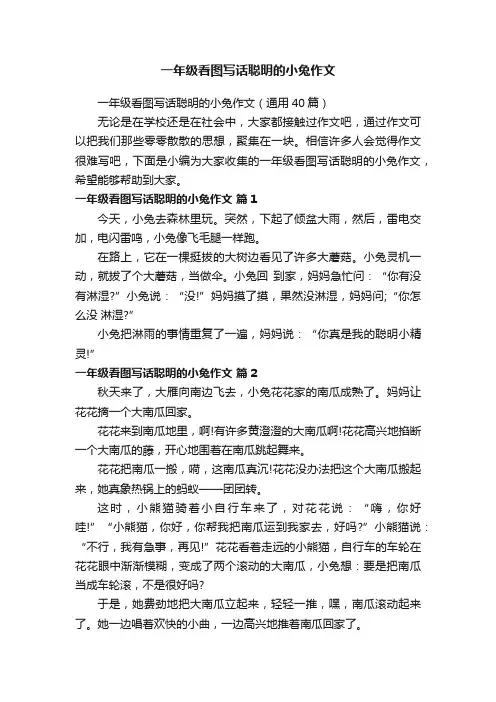 一年级看图写话聪明的小兔作文