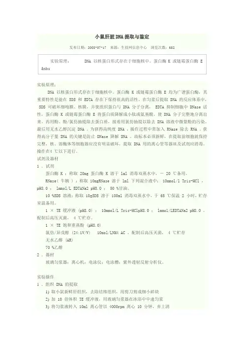 小鼠肝脏DNA提取与鉴定
