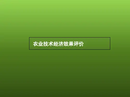 农业技术经济效果评价