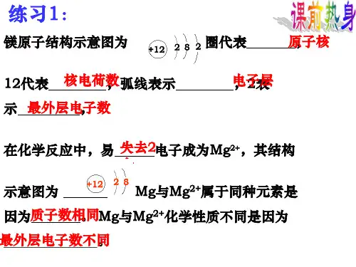九年级化学化学式与化合价2PPT课件