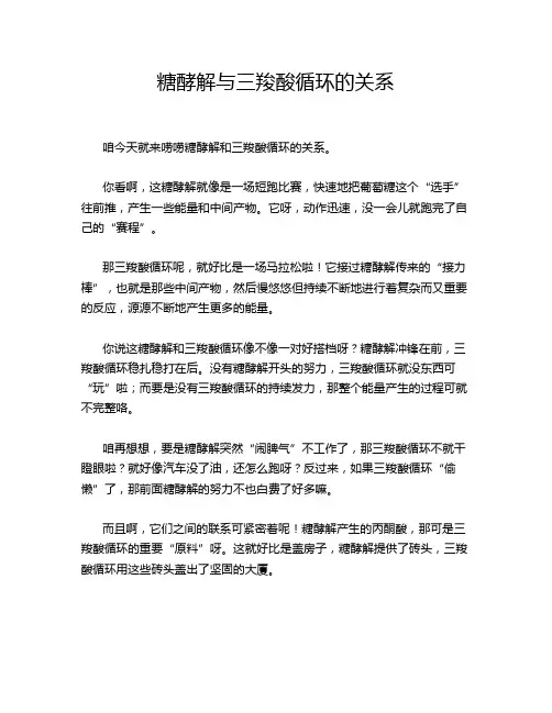 糖酵解与三羧酸循环的关系