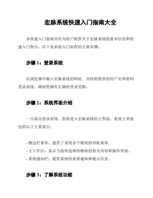 宏脉系统快速入门指南大全