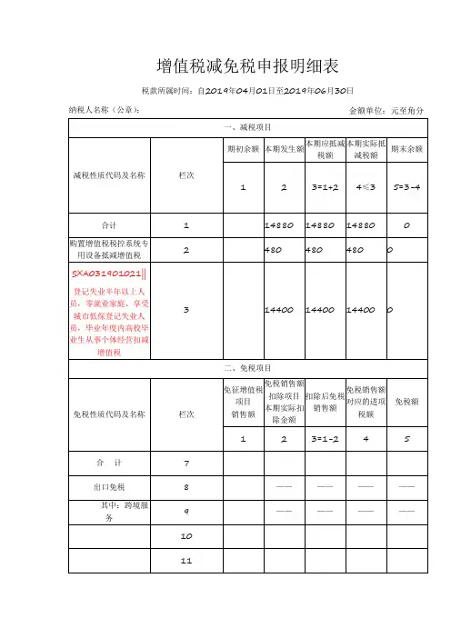 增值税减免税申报明细表