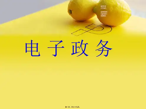 电子政务第1章资料