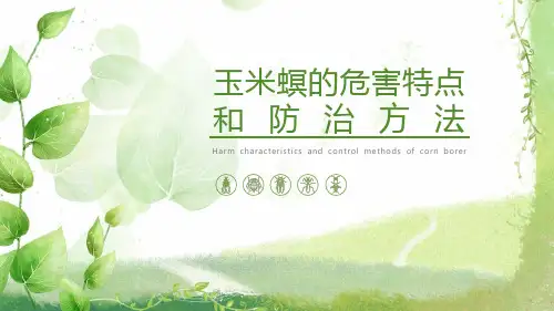 粮食作物害虫及防治 玉米螟的危害特点和防治方法
