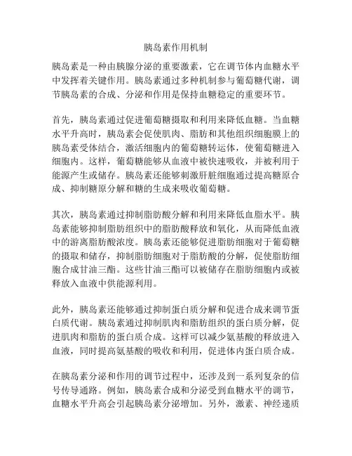 胰岛素作用机制