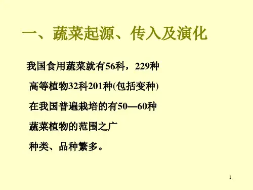 蔬菜分类与识别课件.ppt