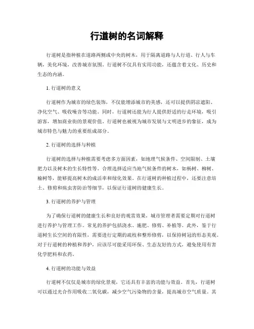 行道树的名词解释