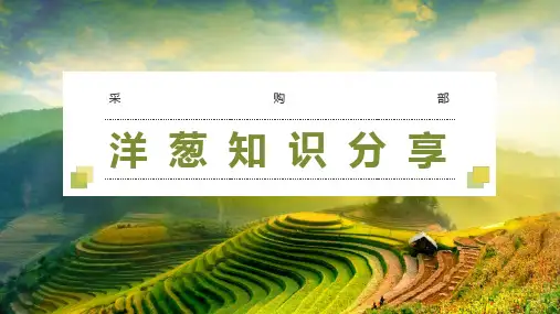洋葱知识分享