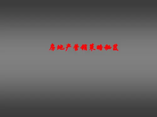 房地产项目营销(销售)策略秘笈-42PPT-精