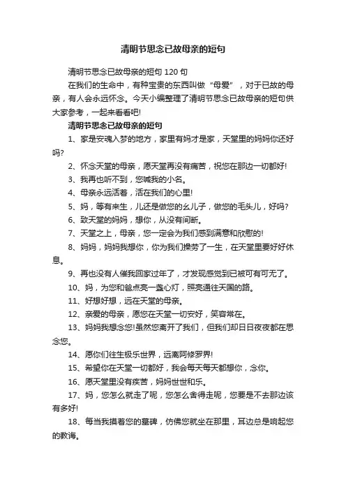 清明节思念已故母亲的短句