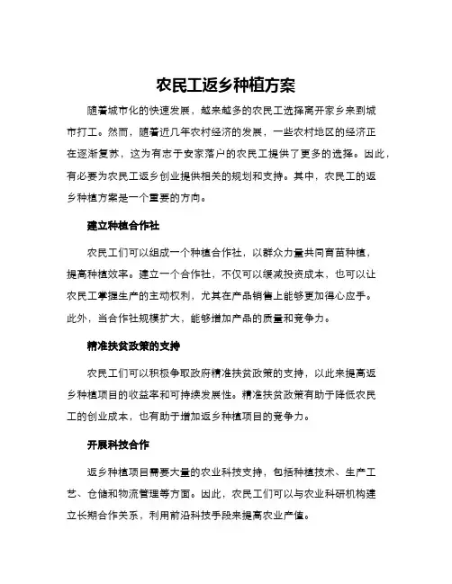农民工返乡种植方案