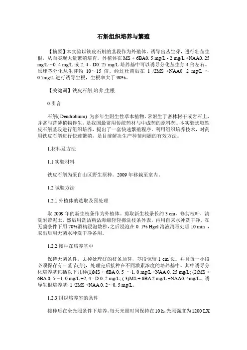 石斛组织培养与繁殖