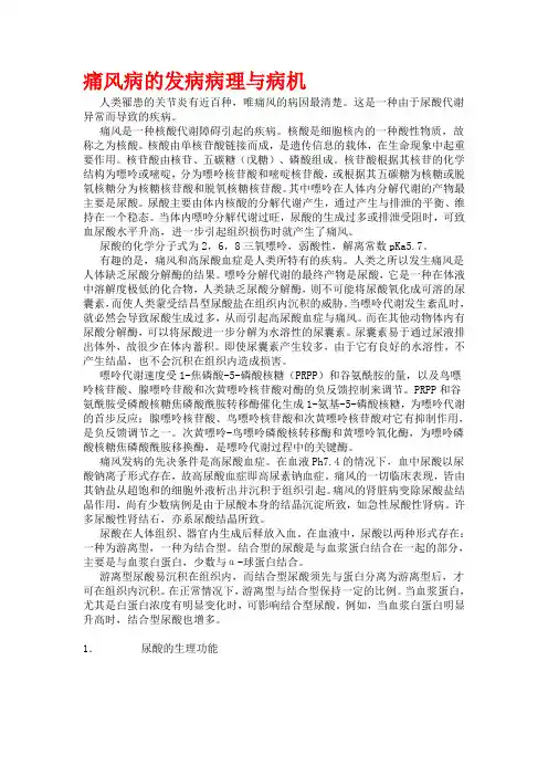 痛风病的发病病理与病机