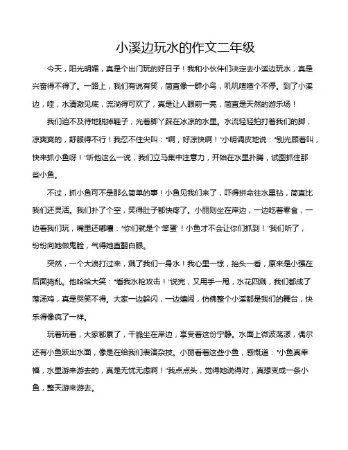 小溪边玩水的作文二年级