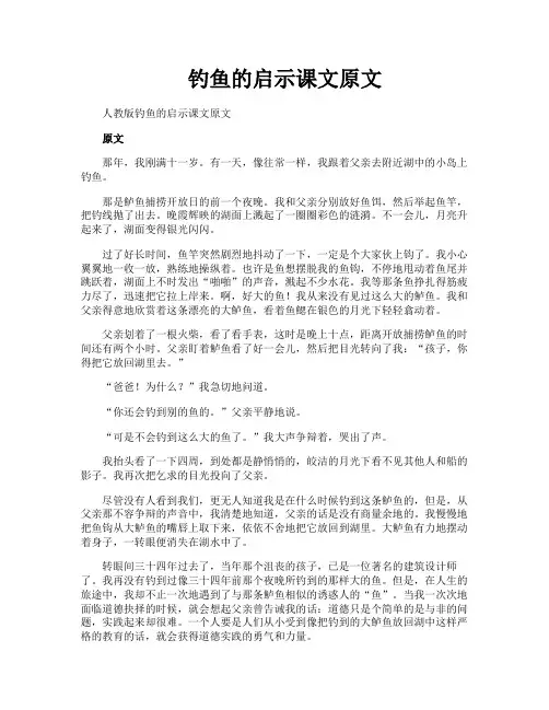 钓鱼的启示课文原文