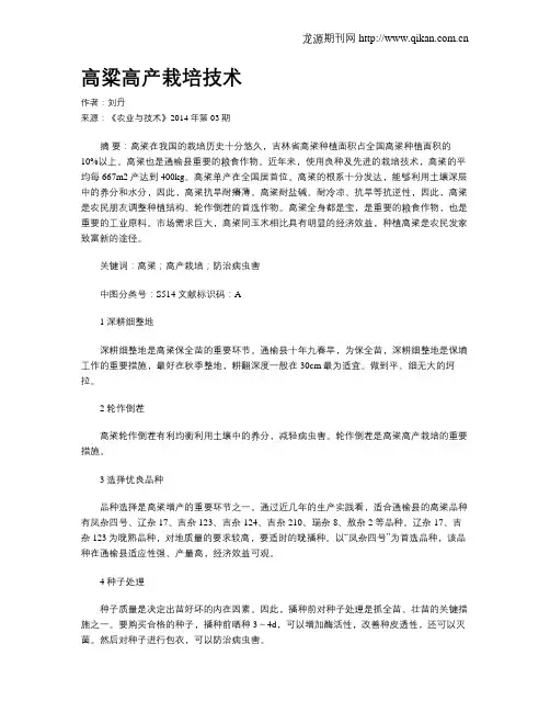 高粱高产栽培技术