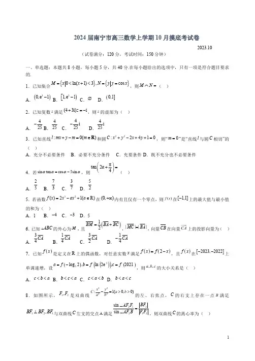 2024届南宁市高三数学上学期10月摸底考试卷附答案解析