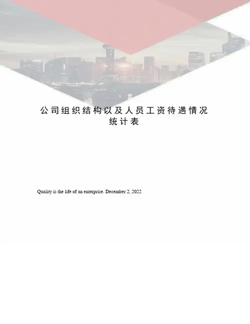 公司组织结构以及人员工资待遇情况统计表