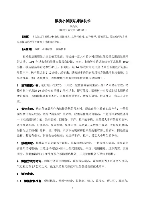 最新橄榄小树嫁接技术要点