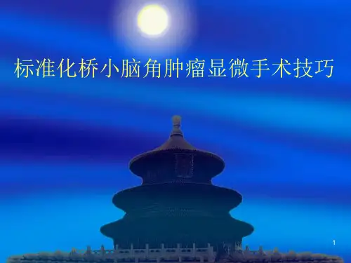桥小脑角肿瘤PPT课件