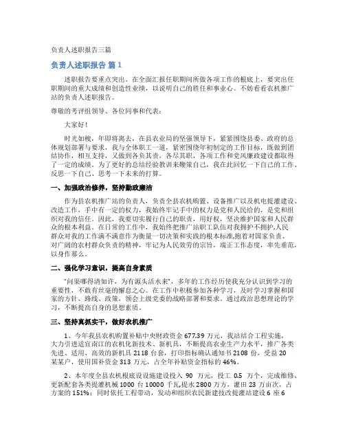 负责人述职报告