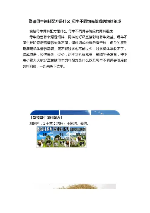 繁殖母牛饲料配方是什么_母牛不同饲养阶段的饲料组成