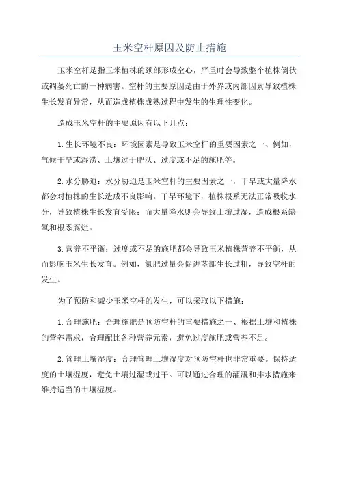 玉米空杆原因及防止措施