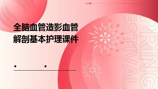 全脑血管造影血管解剖基本护理课件