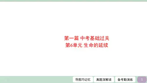 第6单元 生命的延续 2023年中考生物一轮复习考点精讲课件(北师大版)