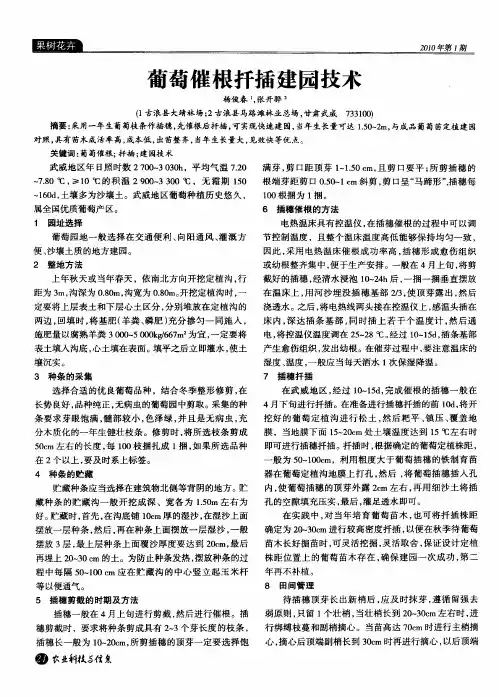 葡萄催根扦插建园技术