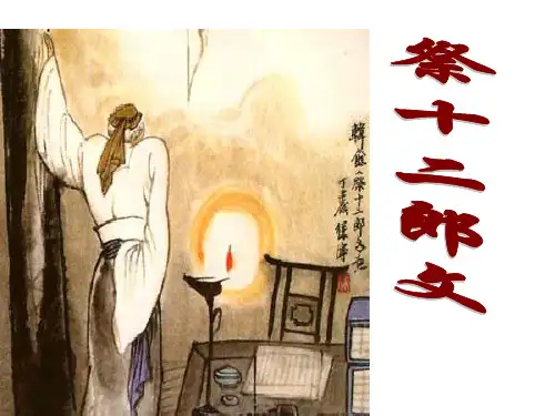 高中语文-祭十二郎文