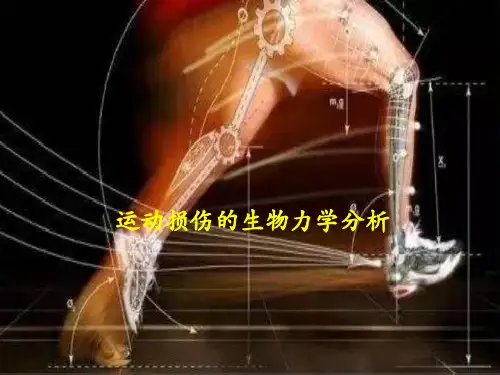 运动 损伤