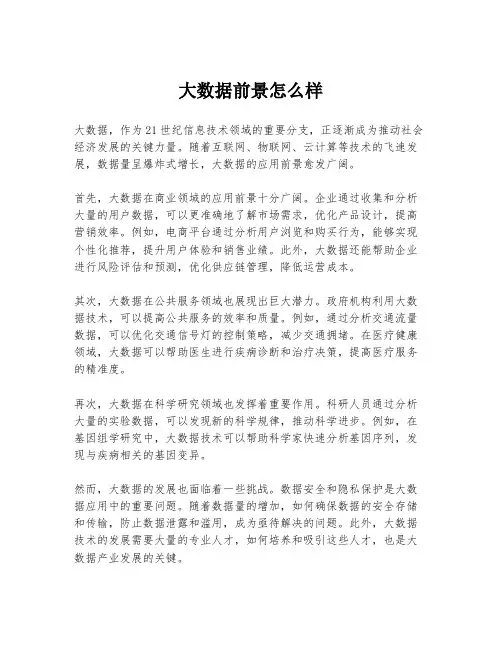 大数据前景怎么样